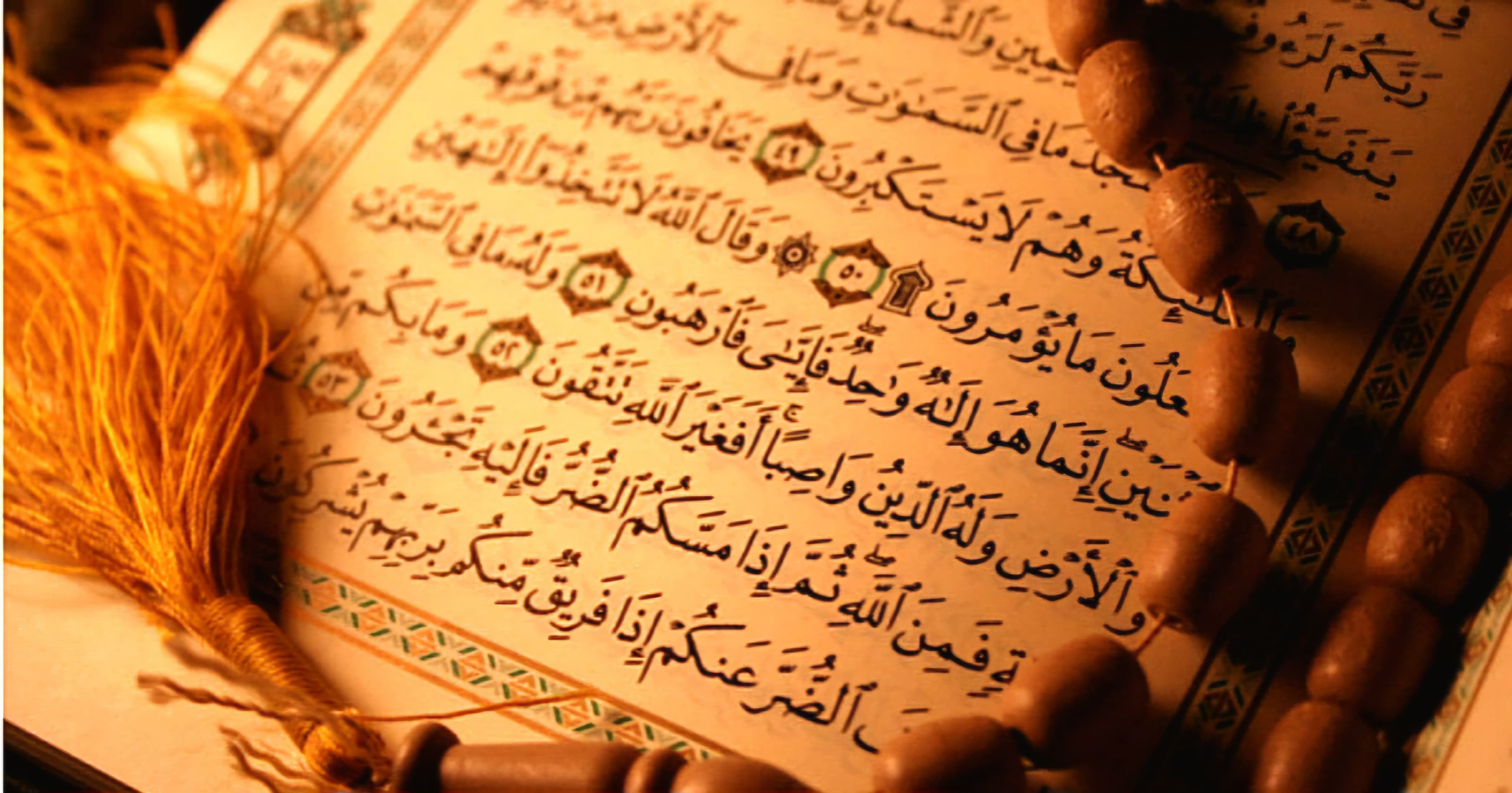 Orucun məqsədi -