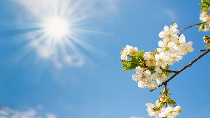 Sabah temperatur yüksələcək