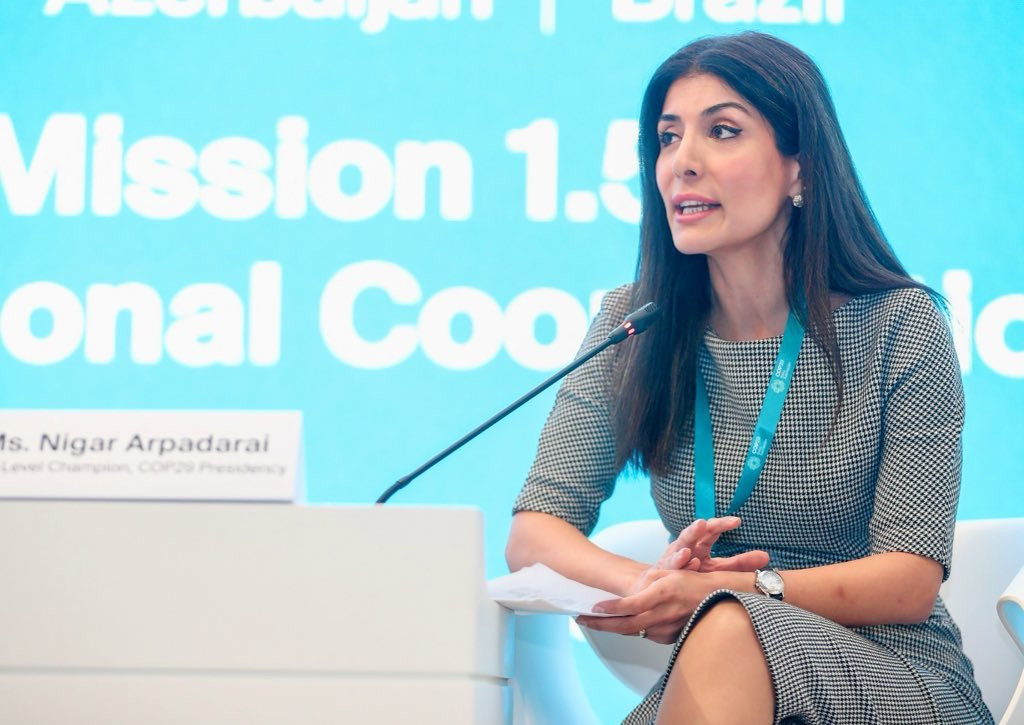 "Sülh üçün Ermənistanın bəyanatları yox, real addımları lazımdır"