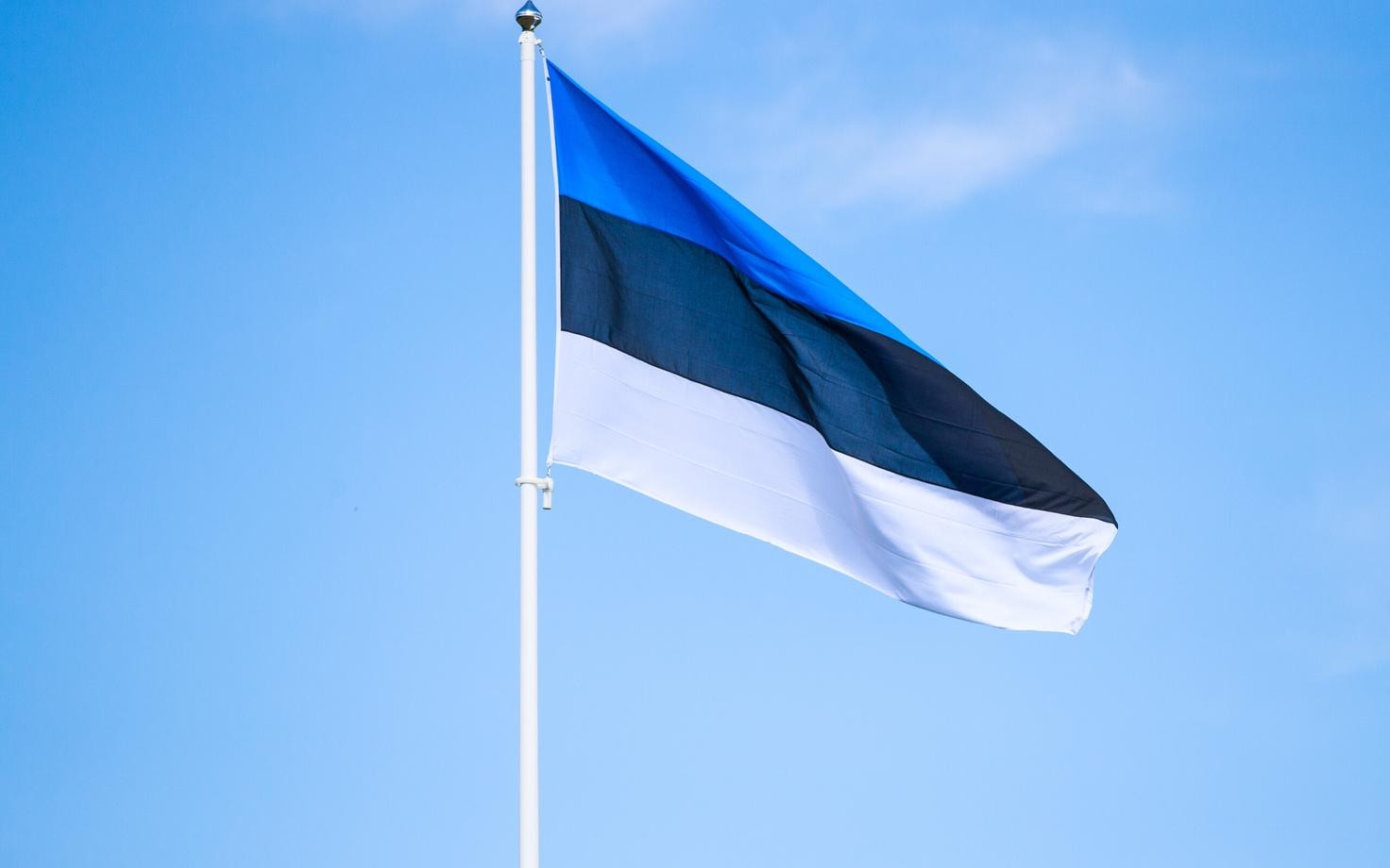 Estoniya bu vətəndaşları səsvermə hüququndan məhrum edib