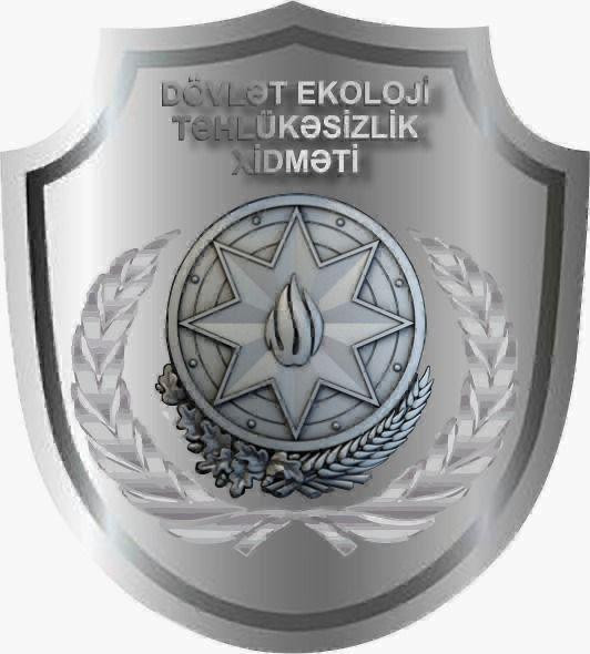 Bakıda "Avant Group" MTK ağacları kəsərək təbiətə 117 060 manat ziyan vurub