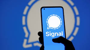 ABŞ və Yəməndə Signal tətbiqinə maraq artıb