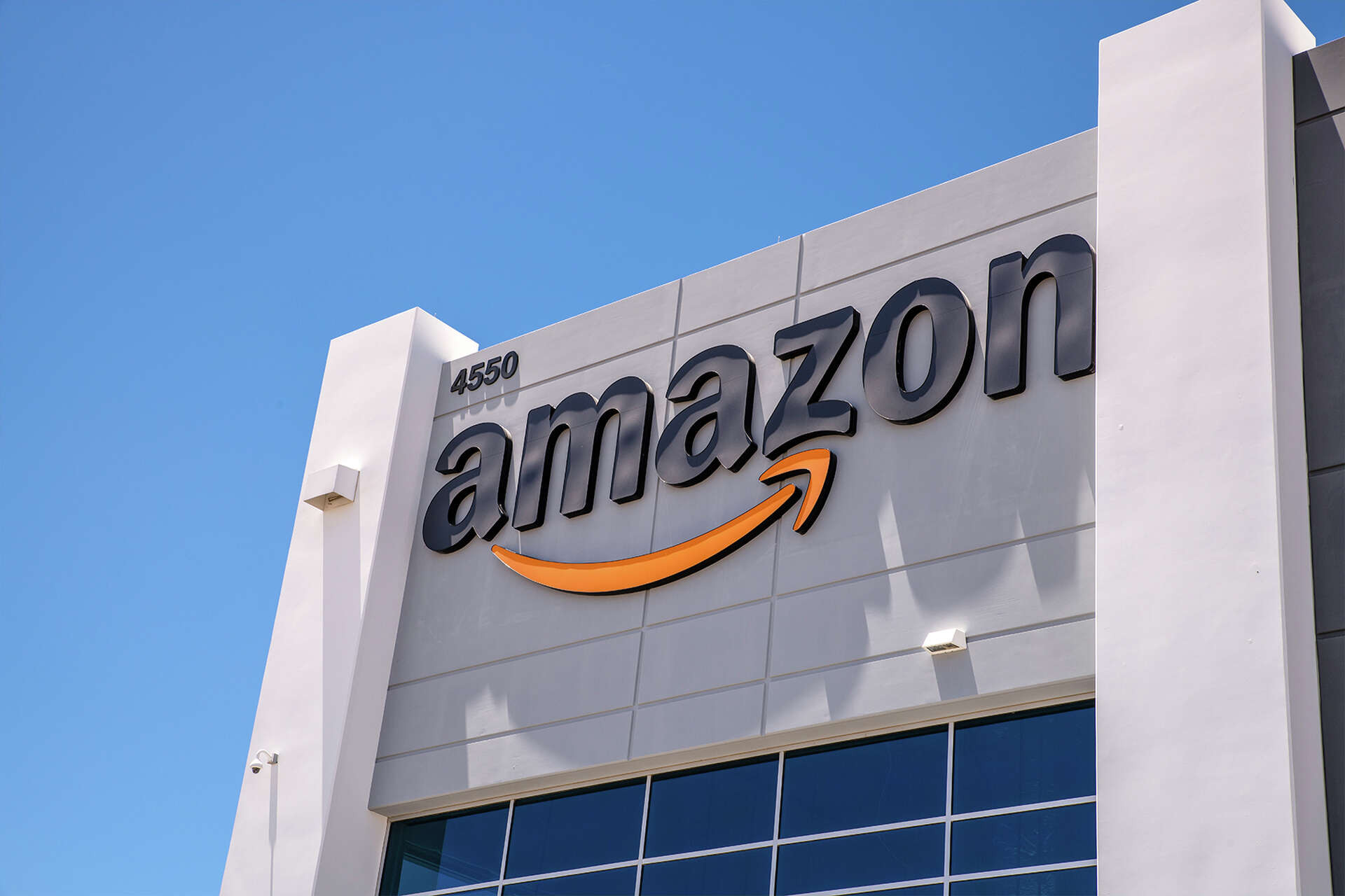 Birlik Aİ-ni Amazon-un tenderlərini yenidən qiymətləndirməyə çağırır