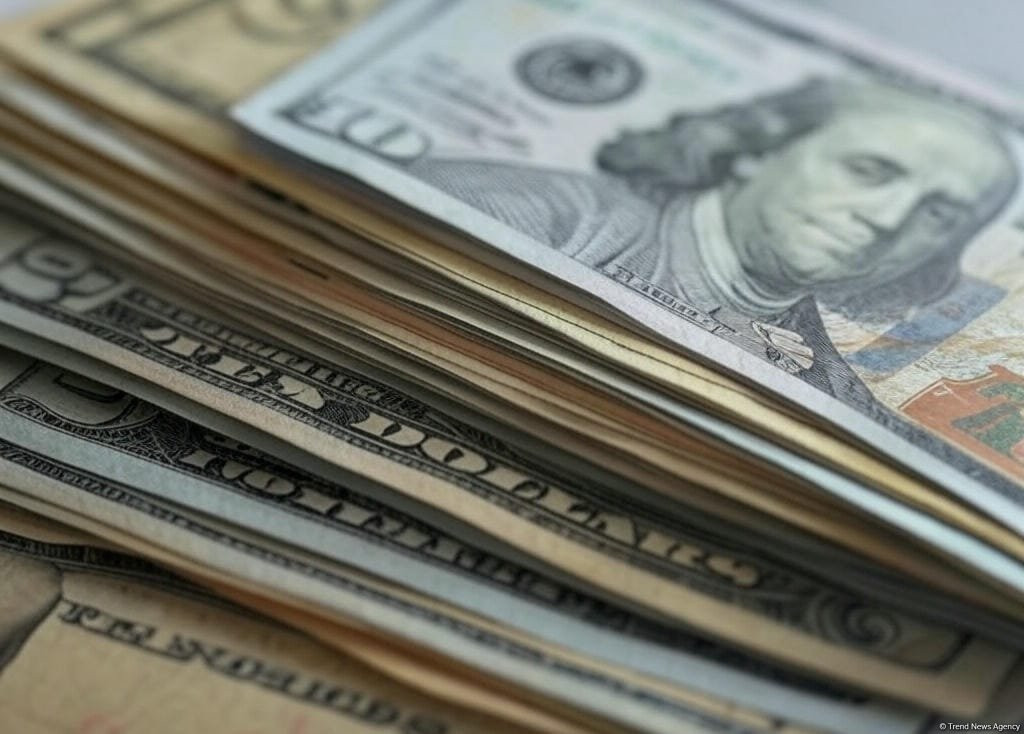 Fiziki şəxslərin əmanətlərinin dollarlaşması azalıb