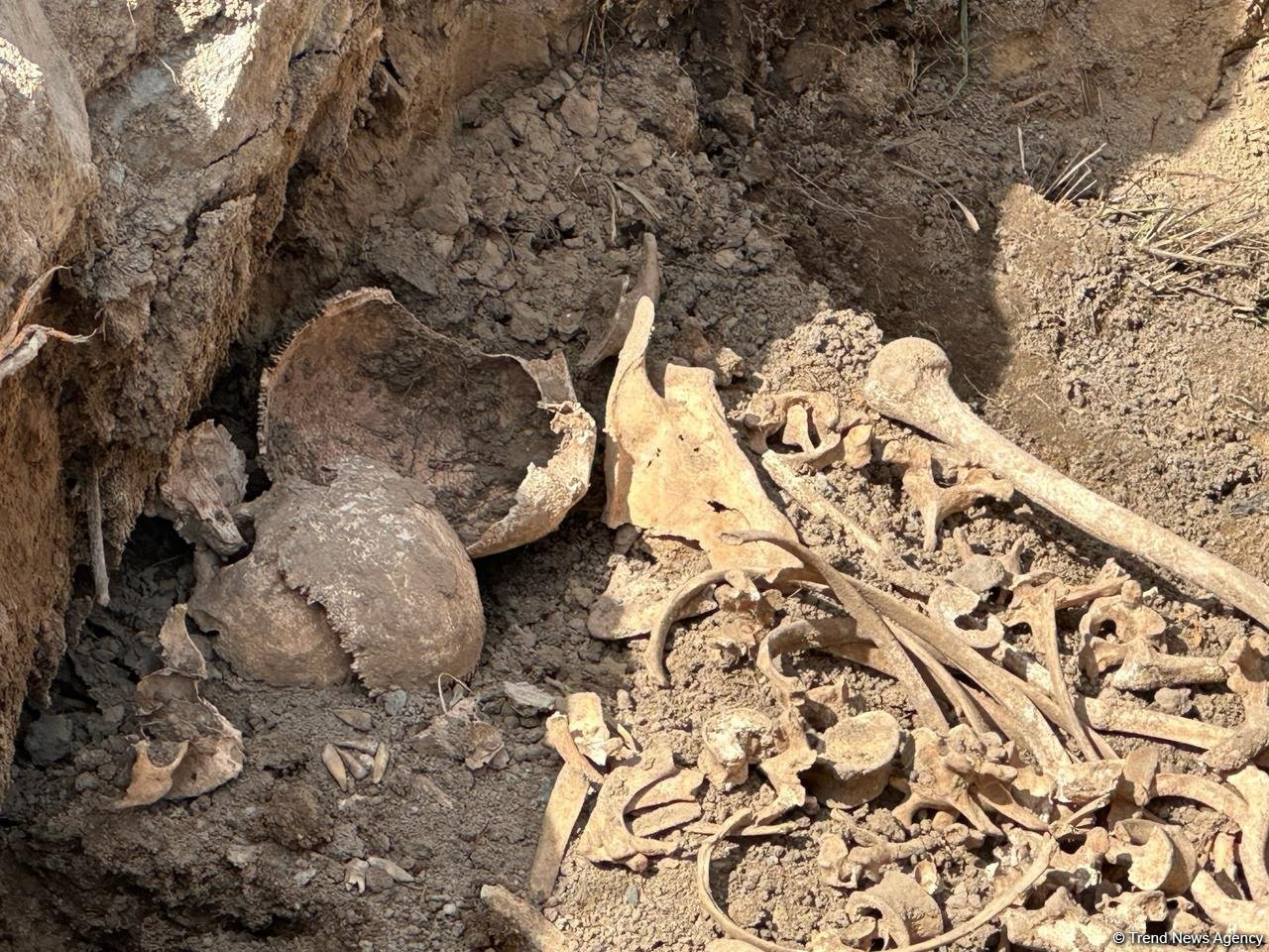 Ağdərədə insan sümüyünə bənzər skelet fraqmentləri aşkarlandı