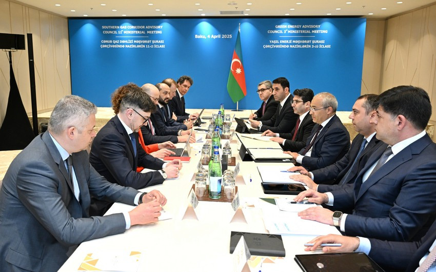 Azərbaycan və Almaniya qarşılıqlı sərmayələrin təşviqini müzakirə edib