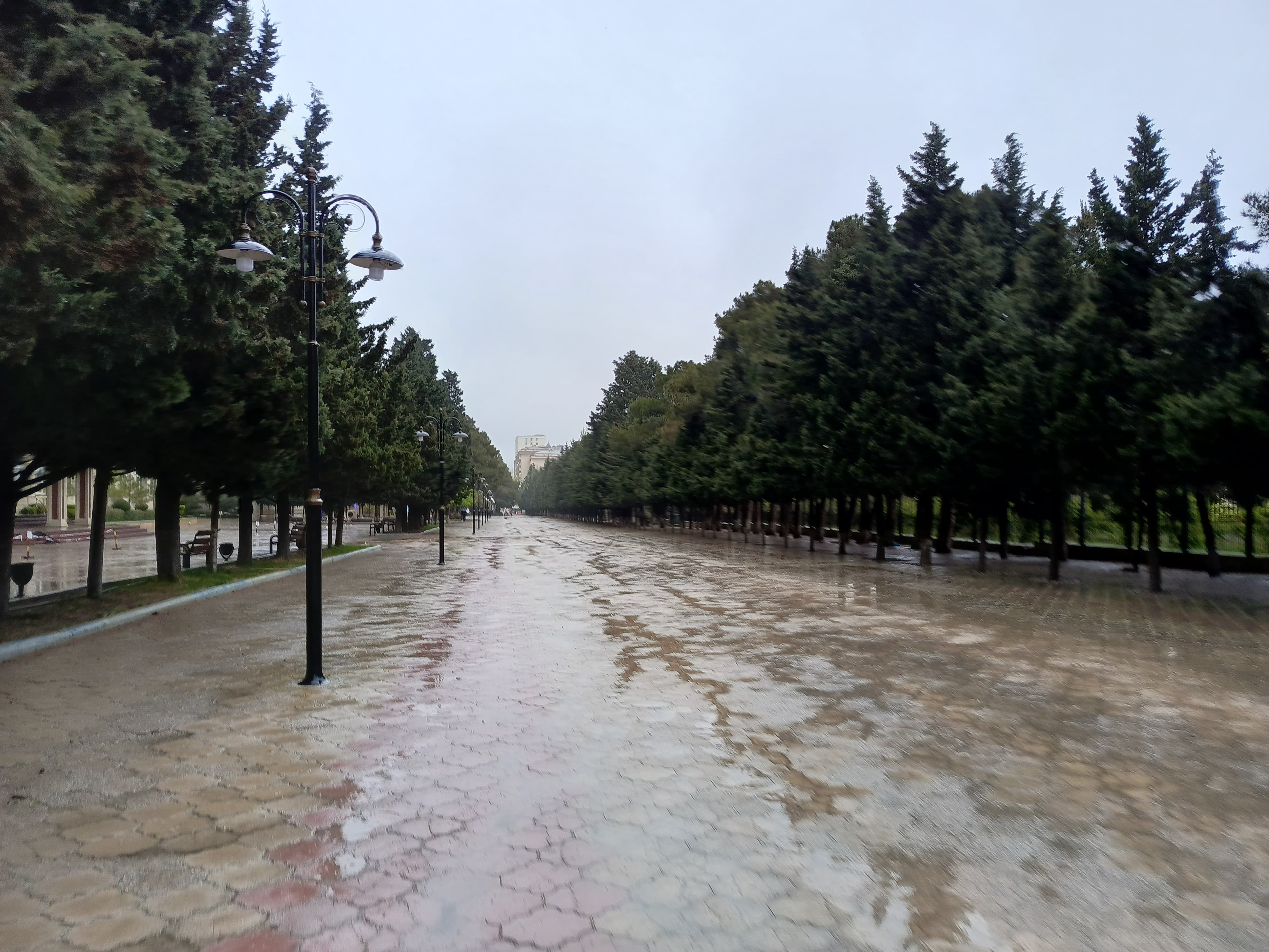 Bakının yağışlı üzü...