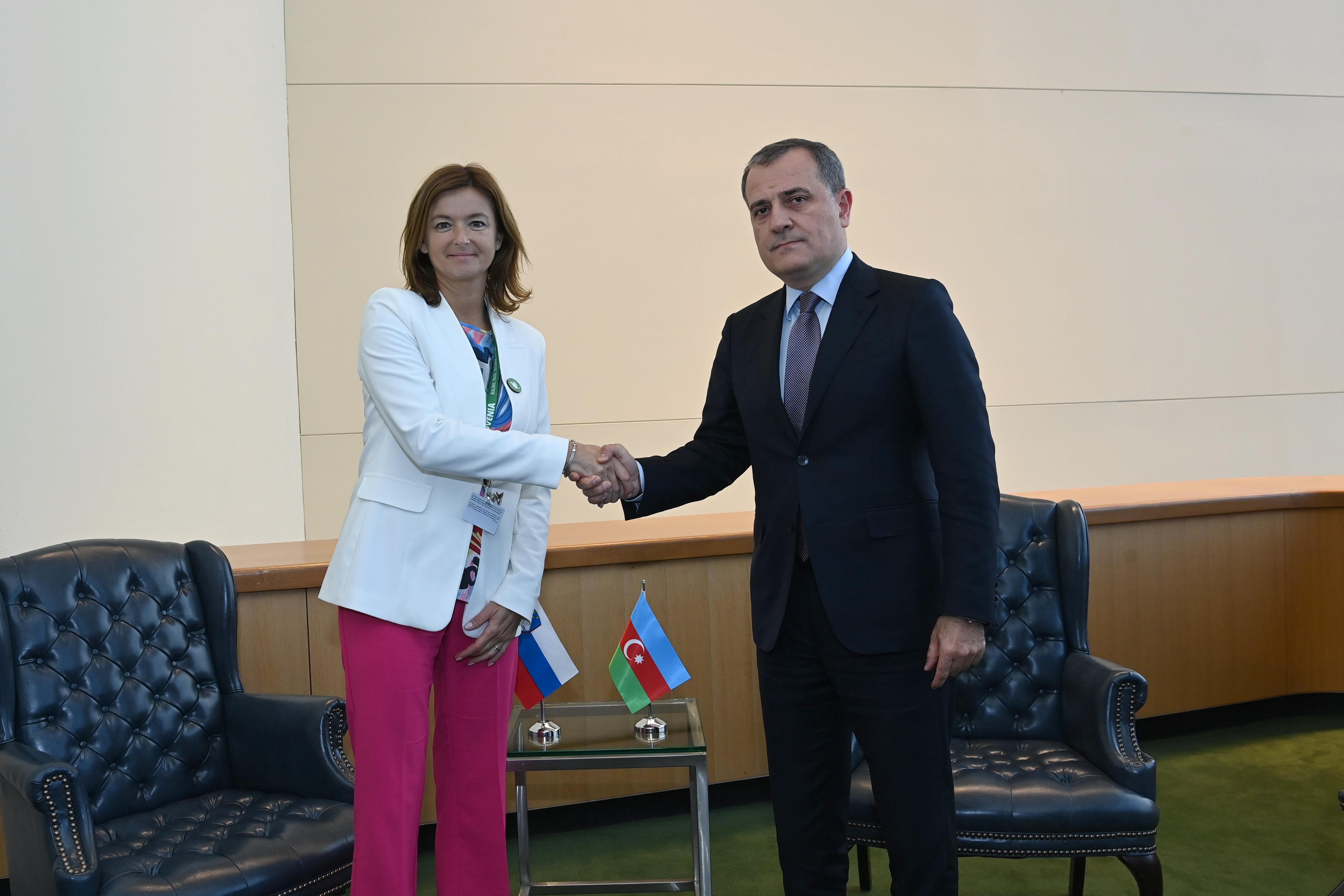 Azərbaycan və Sloveniya minatəmizləmə sahəsində əməkdaşlığı müzakirə edib