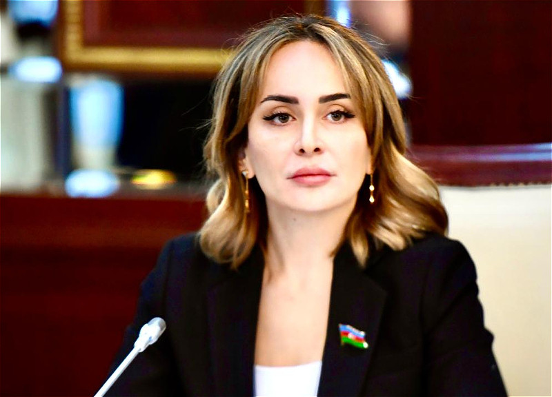 “Azərbaycan və Gürcüstan uzun illərdir uğurlu əməkdaşlıq modeli yaradıb" -