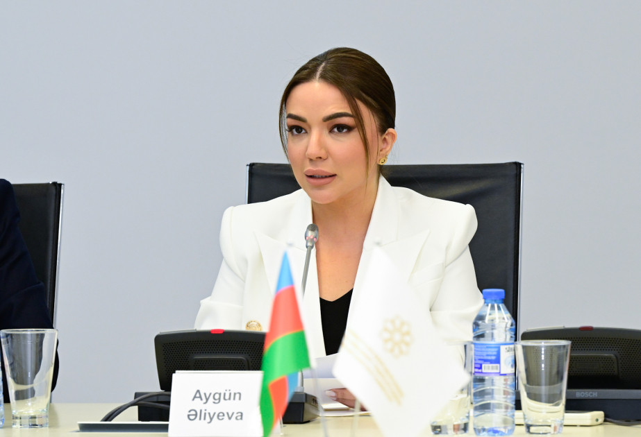 İcraçı direktor: QHT-lərə göstərilən xidmətlər daha əlçatan olub