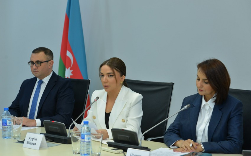 Qlobal Cənub QHT Platformasının təsis konfransı Bakıda keçiriləcək