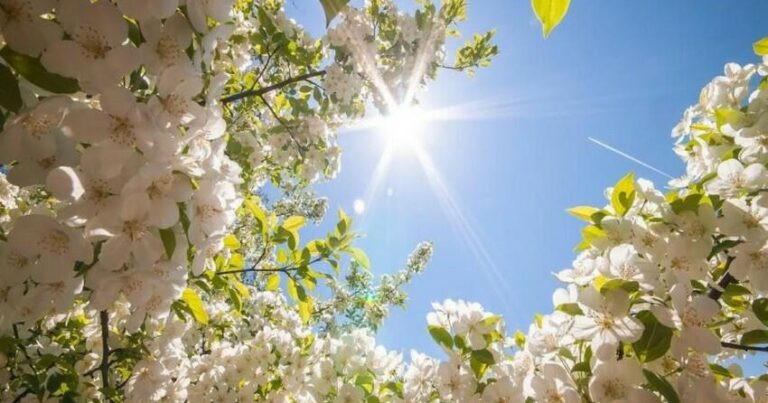Sabah havanın temperaturu 27 dərəcəyədək yüksələcək