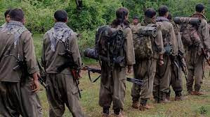 PKK özünü buraxır?: Türkiyə tarixi qələbə yolunda...