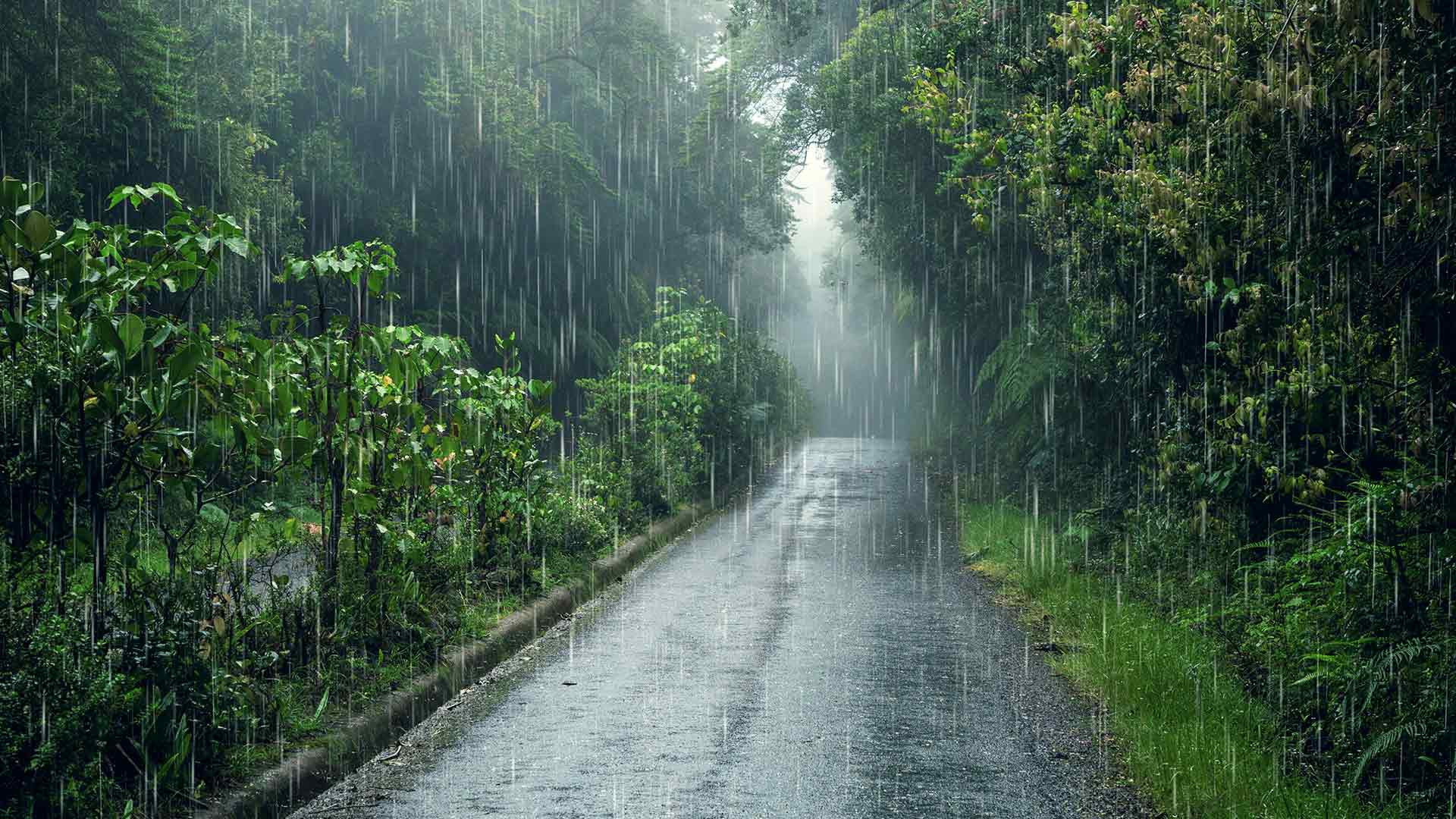 Əksər rayonlarda hava yağıntılı və küləklidir -