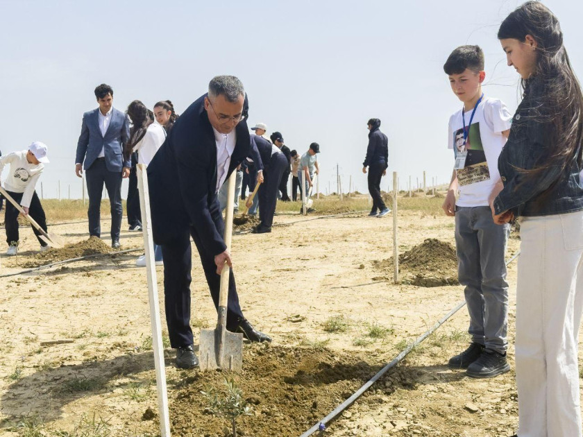 Şəhidlərin və müharibə veteranlarının övladlarının iştirakı ilə ağacəkmə aksiyası keçirilib