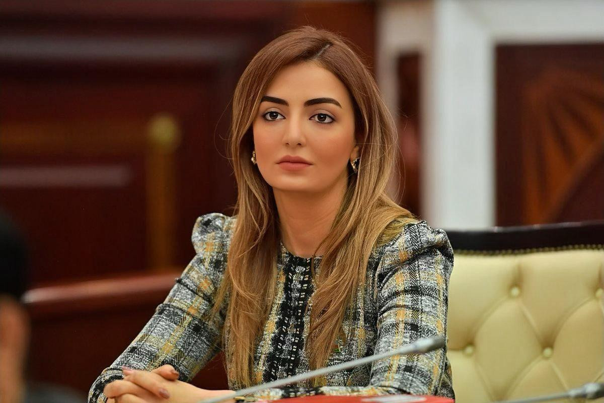 Məhkəmə prosesi beynəlxalq hüquq normalarına uyğun aparılır -