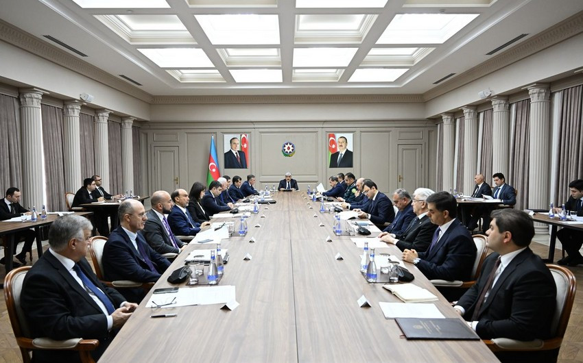Milli Fəaliyyət Planının icrası və tərəqqi hesabatı gündəmdə