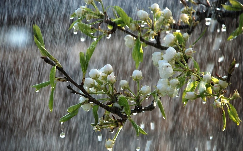 Yağıntılı hava şəraiti davam edib