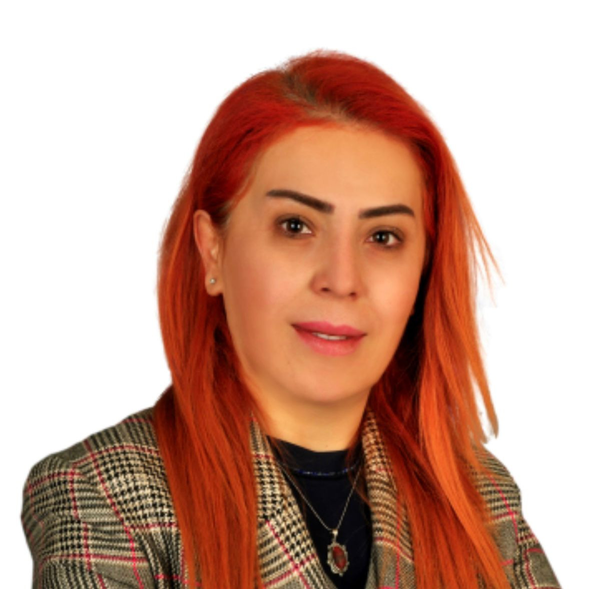 Türkiyəli ekspert: "Ermənistan konstitusiyasındakı dəyişikliklərin olmaması sülhü çətinləşdirir"