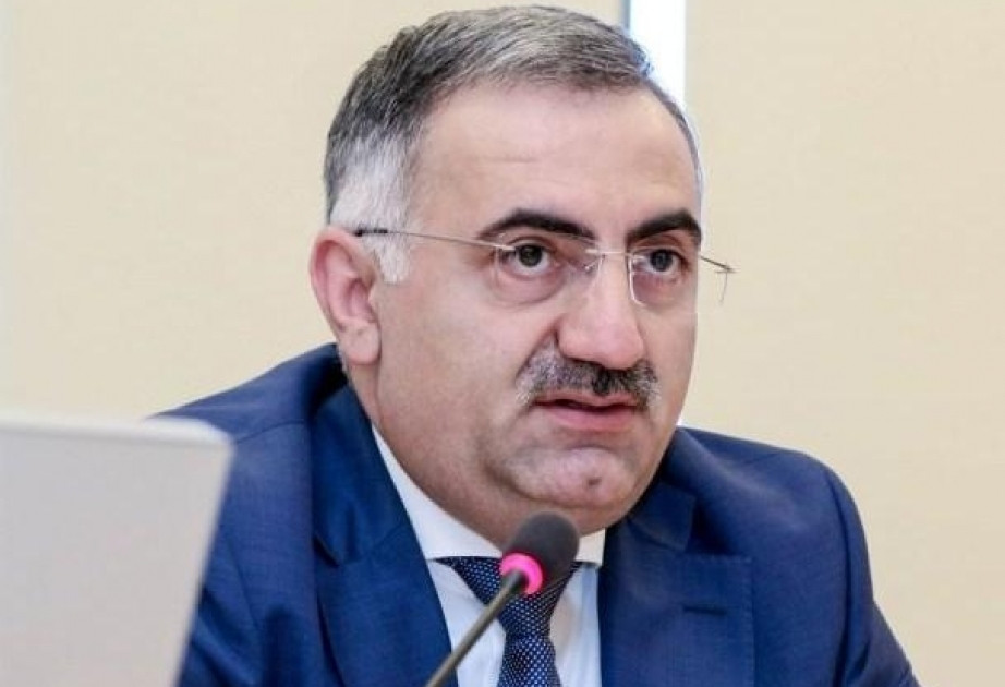 Elmir Vəlizadə: “Mediamız bədniyyətli qrupların da diqqət mərkəzindədir”