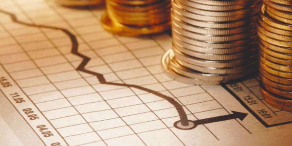 Azərbaycanda vergi ödəyicilərinin sayı 5 %-ə yaxın artıb