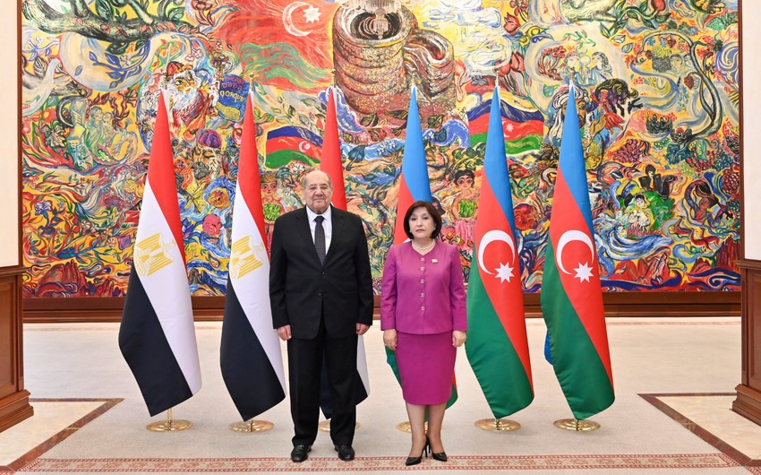 Sahibə Qafarova Misir Senatının sədri ilə görüşüb