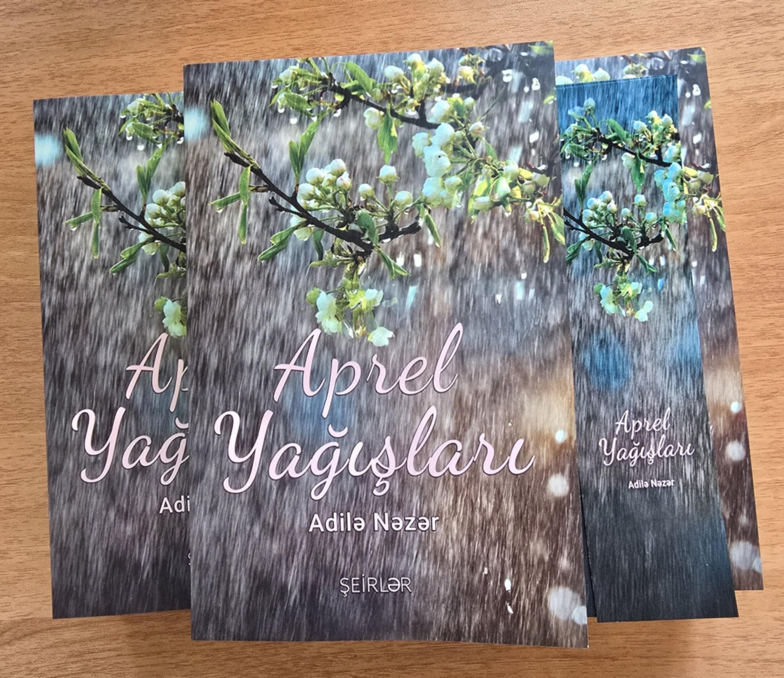 Yazıçılar Birliyində "Aprel yağışları" kitabı təqdim olundu