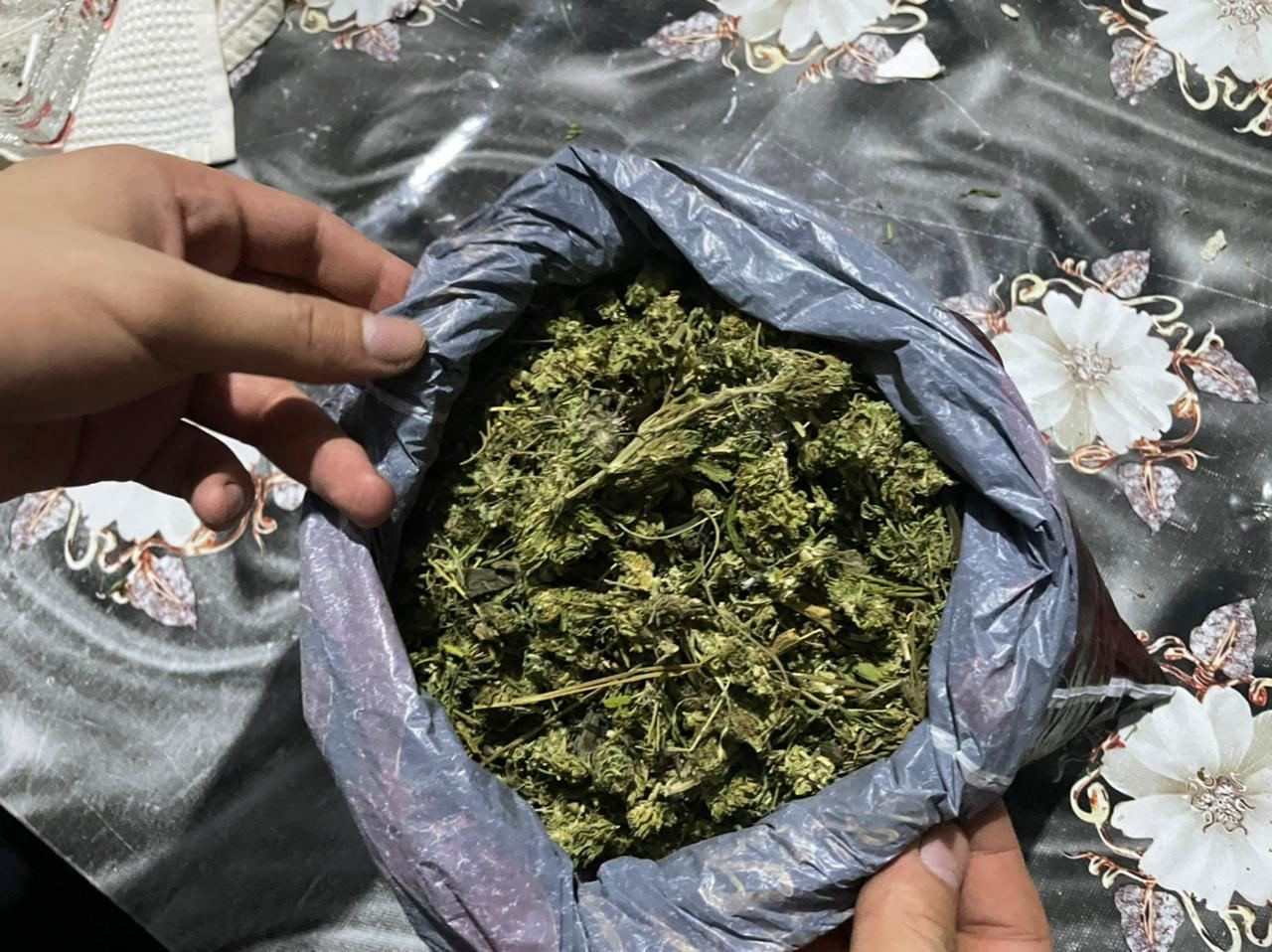 Çəkisi 19,7 kiloqramdan artıq narkotik vasitə aşkarlanıb