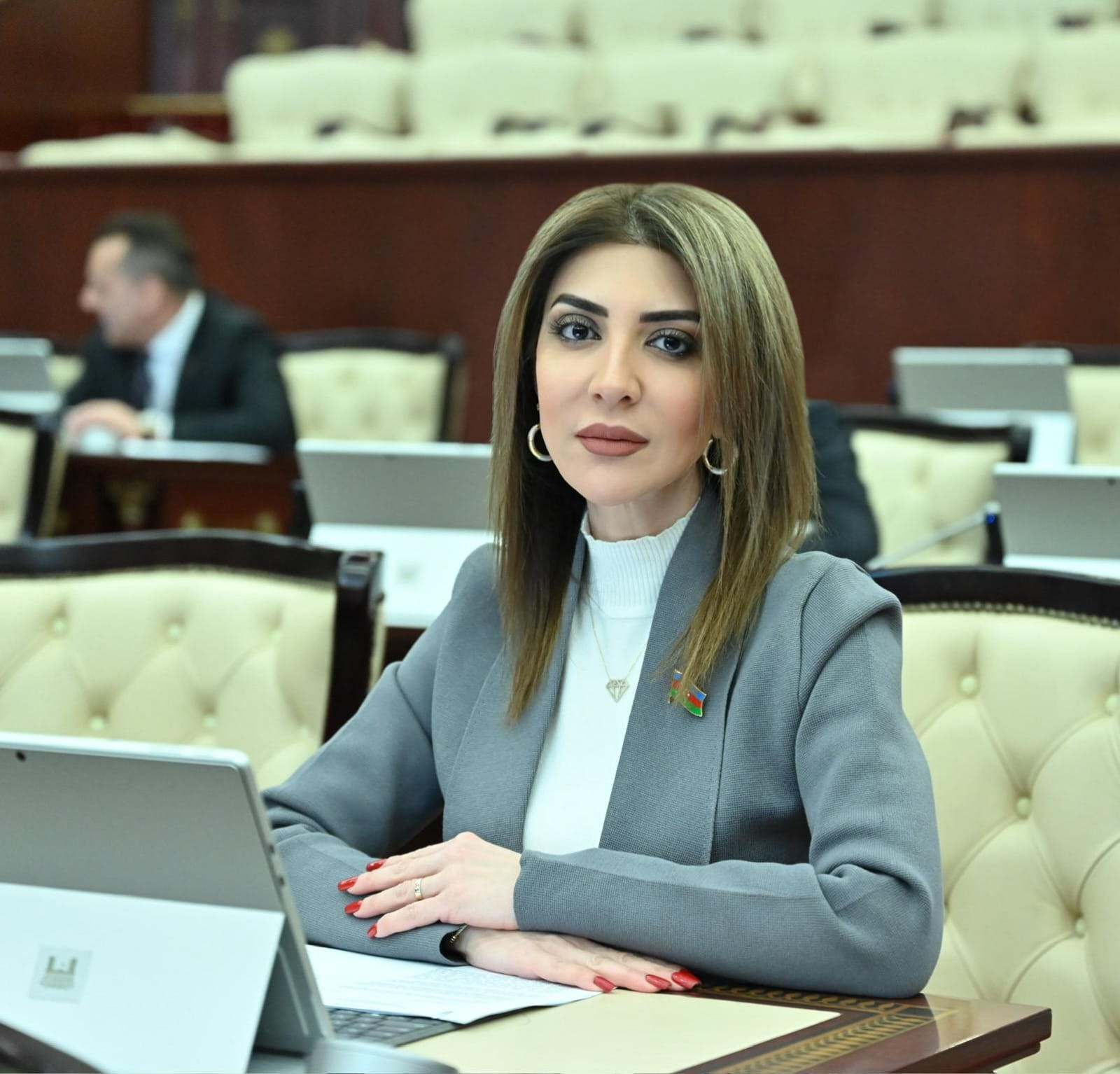 "Rəsmi İrəvanın destruktiv mövqeyi regionda sülhün və sabitliyin bərqərar olmasına əngəldir"