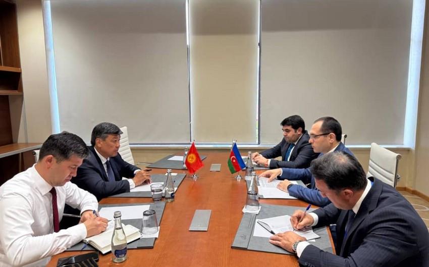 Qırğızıstan Azərbaycanın aqrar sektordakı təcrübəsi ilə tanış olmaq istəyir