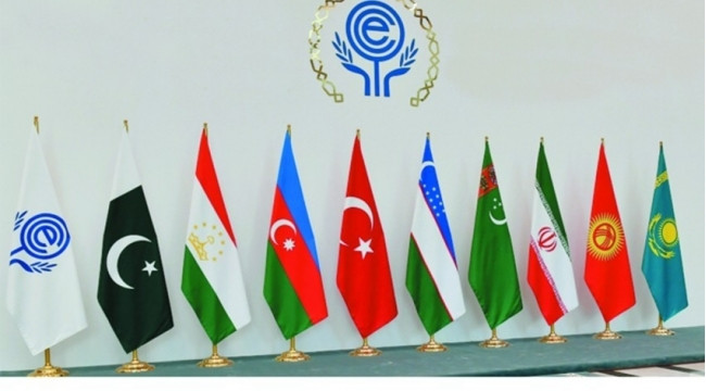Laçında "Şəhərsalmanın inkişafında qadınların rolu" mövzusunda panel sessiya keçirilib