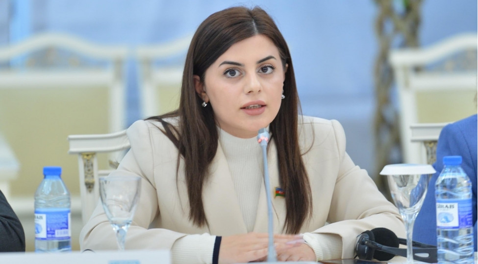 "COP29 sədrliyi işini il ərzində davam etdirir və eyni zamanda COP30-a dəstək verir" -