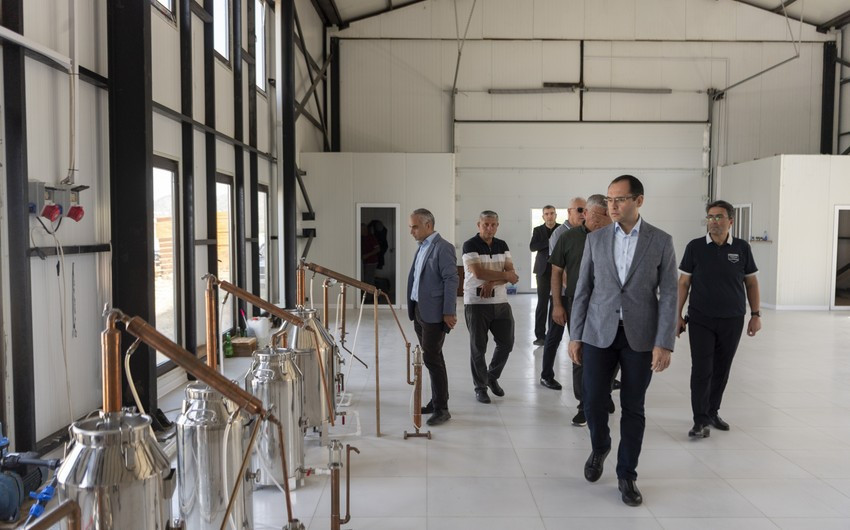 Məcnun Məmmədov Laçında təsərrüfatlara baş çəkib, fermerlərlə görüşüb