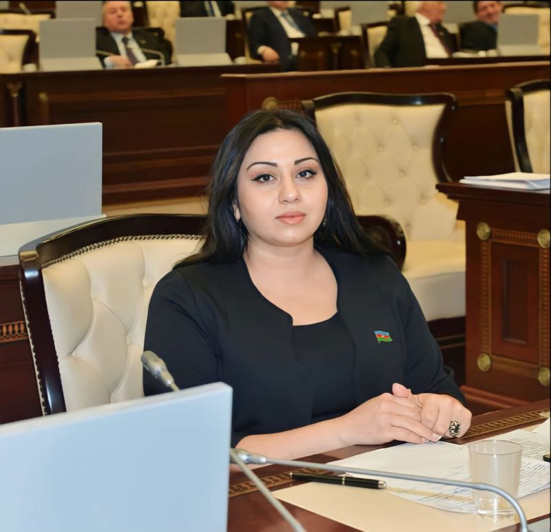 Deputat üzərində kiril qrafikası olan abidələr barədə danışdı: "Tarixə hörmətlə yanaşmalıyıq"