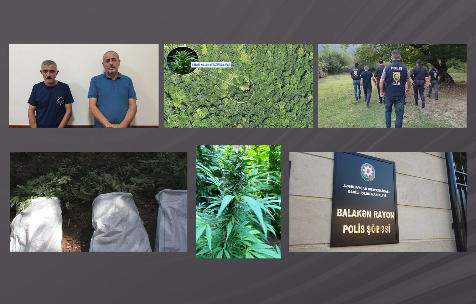 Dağlarda narkoplantasiya salan silahlı şəxslər saxlanıldı