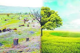 Azərbaycanda  nəsli kəsilmək təhlükəsində olan flora və fauna növlərinin sayə artəb-