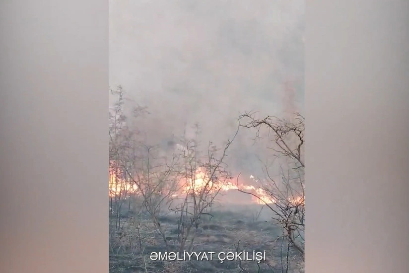 Ağdərədə dağlıq ərazidə yanğın törədən şəxslər saxlanılıb –