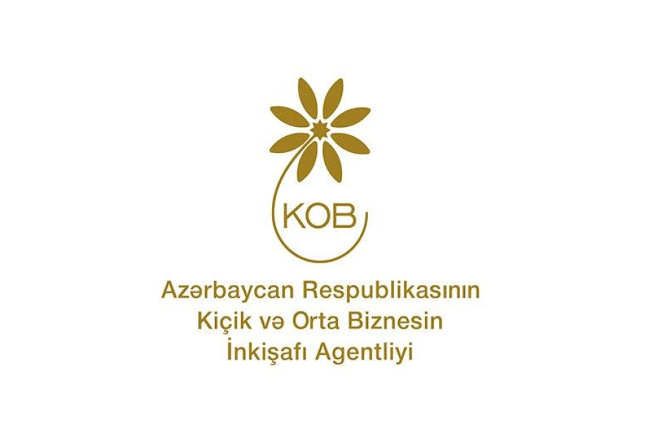 Humay Əhmədbəyli: KOBİA qadın sahibkarlığının inkişafına dəstək göstərir