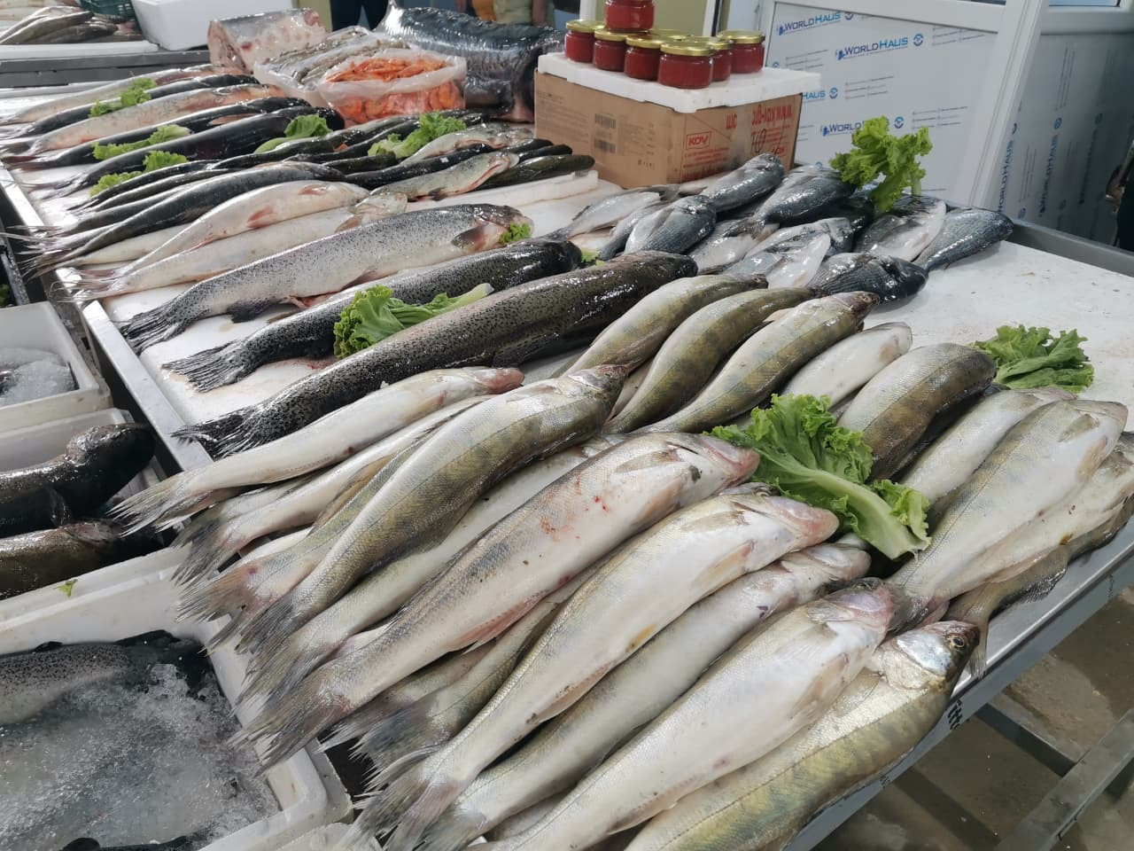 Bakıda balıq yarmarkası fəaliyyətə başlayıb