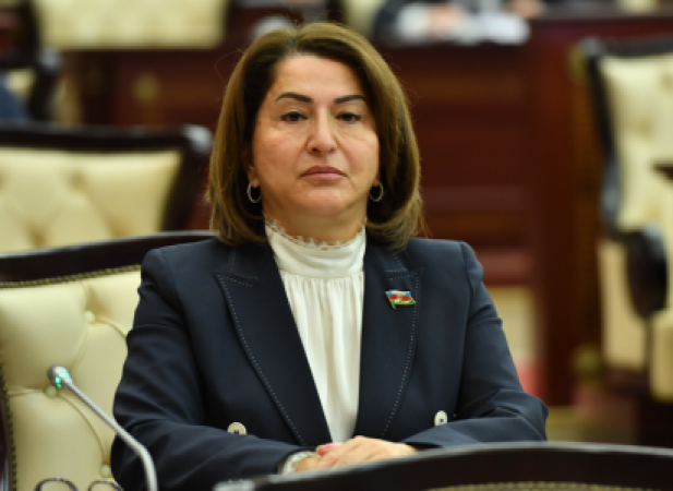 Deputat: Məişət zorakılığı ilə bağlı qanuna dəyişikliklərə ehtiyac var