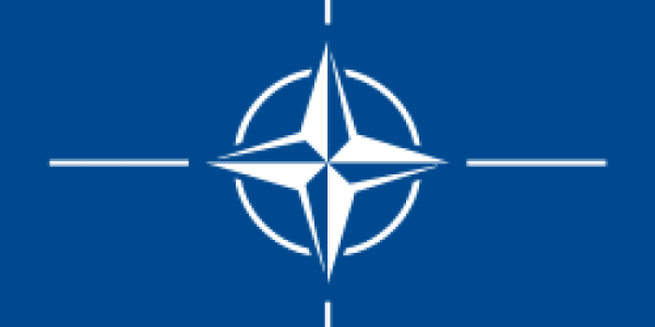 Rusiya 2030-cu ilə qədər NATO-ya hücum edə bilər