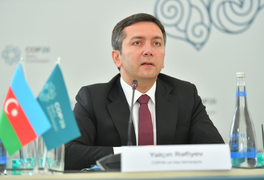 Bakıda keçirilən COP29 tarixin ən uğurlu COP konfranslarından olub - Yalçın Rəfiyev