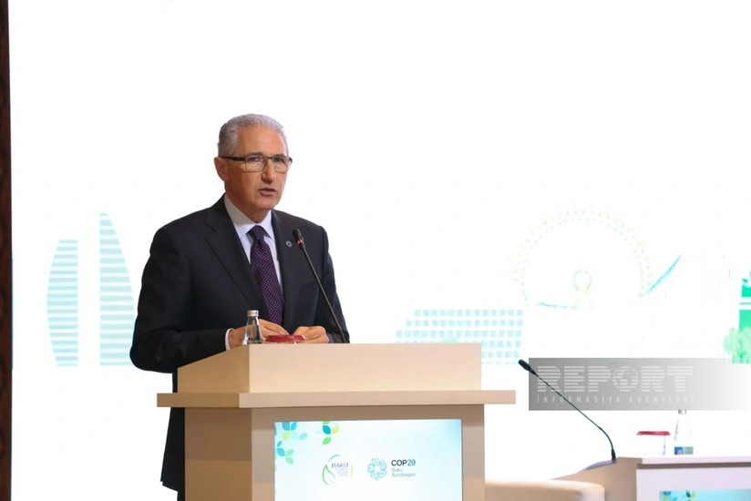 COP29-un Prezidenti: Qadınların bacarıqları və səsi qərarlara daxil ediləndə siyasət daha effektiv olur