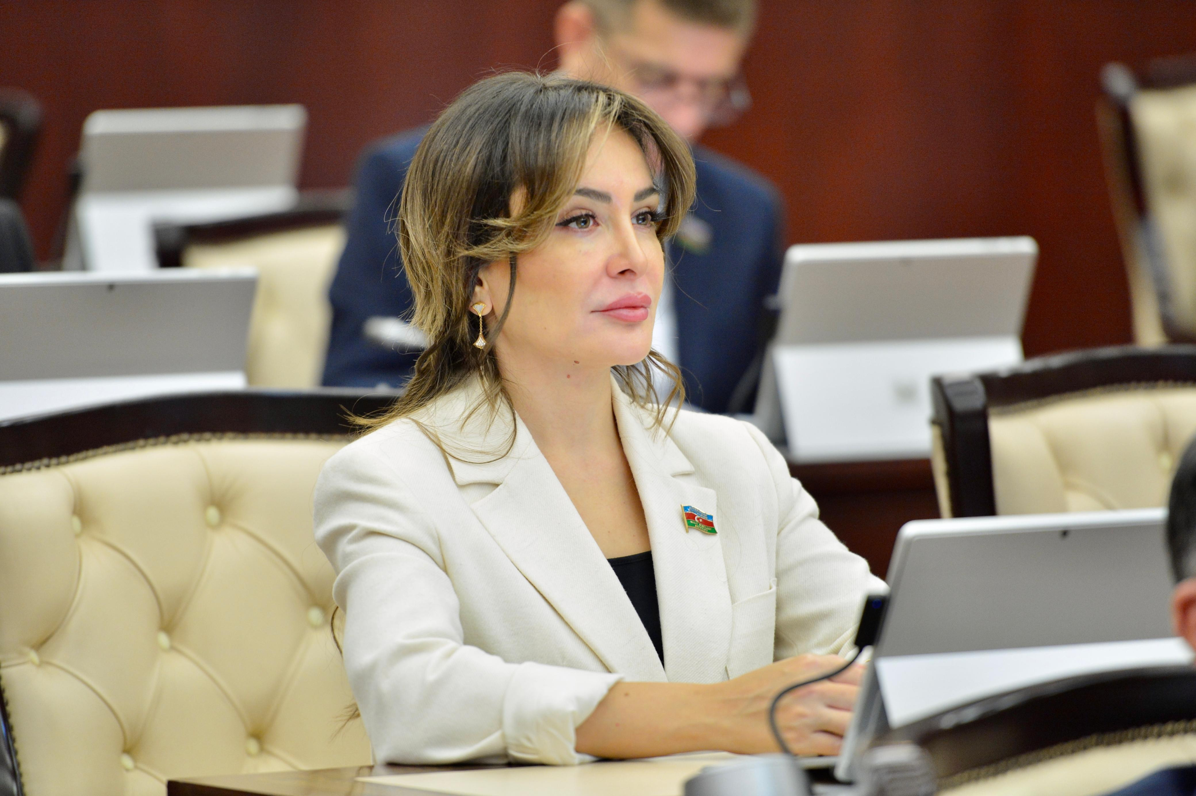 TDT-nin Qəbələ toplantısı bu istiqamətdə dönüş nöqtəsi olacaq - Deputat