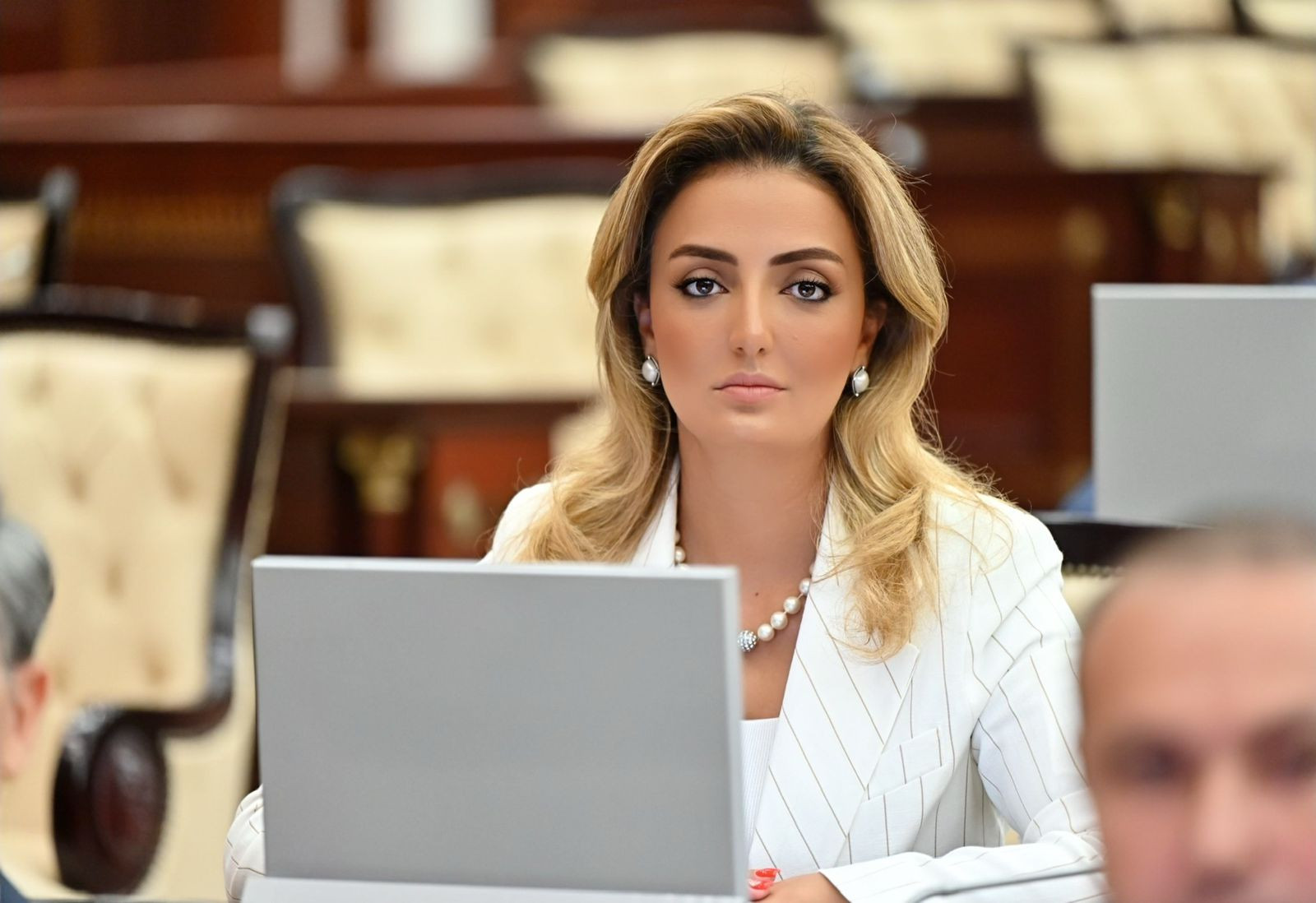 TDT-nin hərbi, siyasi, iqtisadi baxımdan geniş hədəfləri var - Deputat