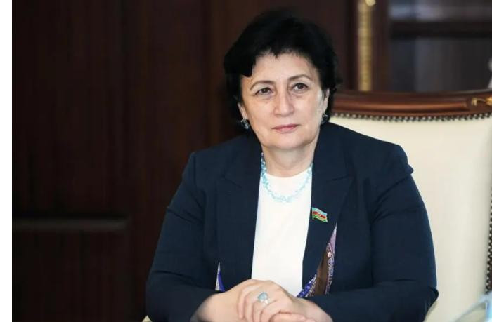 Zəngəzur dəhlizinin istifadəsi TDT-na üzv olan ölkələr üçün böyük imkanlar yaradır-