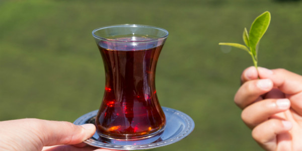 Yanvar-iyul aylarında çay ixracından 5 mln. dollara yaxın gəlir əldə edilib
