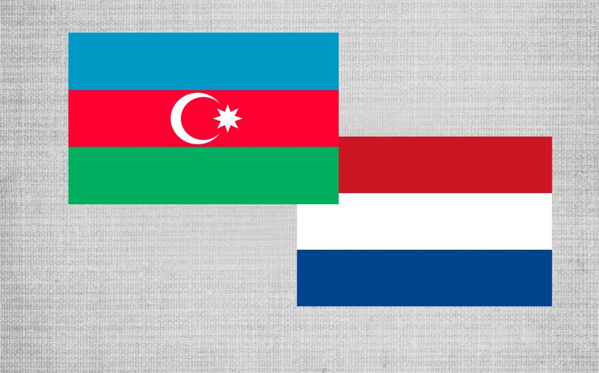 Azərbaycanla Niderland beynəlxalq və regional məsələləri müzakirə edib