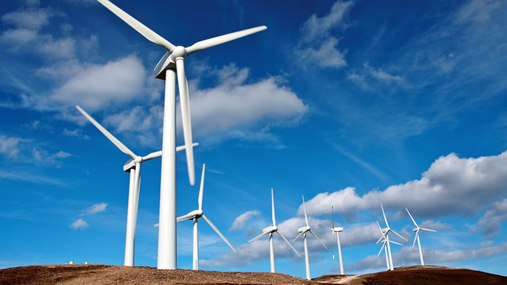 Xəzərdə külək enerjisinin ixracına 2032-dən başlanması planlaşdırılır