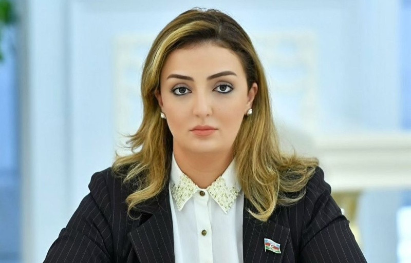 Dövlət sərhədinin təhlükəsizliyi strateji əhəmiyyət daşıyır -